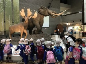 自然史博物館・特別展に行きました！