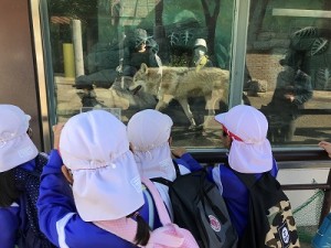 天王寺動物園へ遠足に行きました！（５歳児さん）