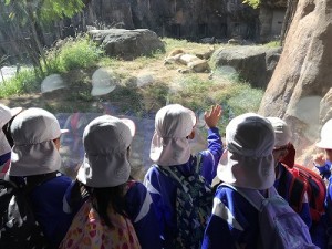 天王寺動物園へ遠足に行きました！（５歳児さん）