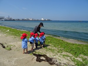 二色の浜へ臨海保育に行きました！（２歳児さん）