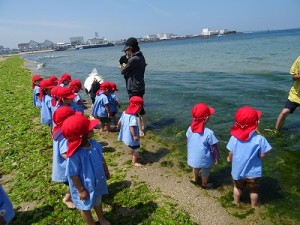 二色の浜へ臨海保育に行きました！（２歳児さん）