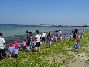 二色の浜へ臨海保育に行きました！（２歳児さん）