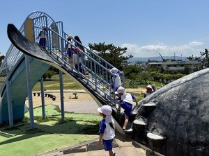 二色の浜へ臨海保育に行きました！（３・４・５歳児さん）