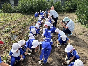 芋掘り・みかん狩りに行きました！（３・４・５歳児さん）