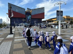 海遊館へ遠足に行きました！（４歳児さん）