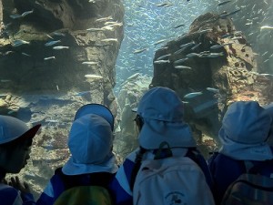 海遊館へ遠足に行きました！（４歳児さん）