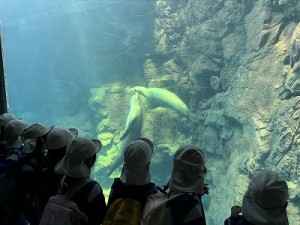 海遊館へ遠足に行きました！（４歳児さん）