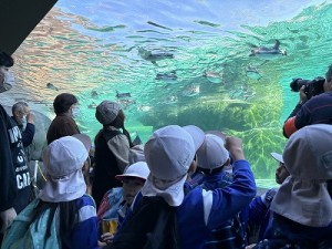 天王寺動物園へ遠足に行きました！（５歳児さん）