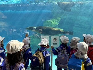 天王寺動物園へ遠足に行きました！（５歳児さん）