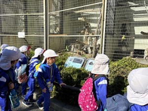 天王寺動物園へ遠足に行きました！（５歳児さん）