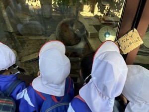 天王寺動物園へ遠足に行きました！（５歳児さん）