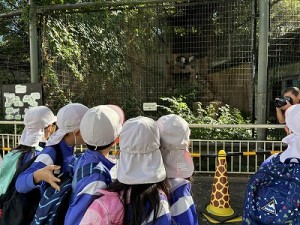 天王寺動物園へ遠足に行きました！（５歳児さん）