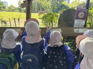 天王寺動物園へ遠足に行きました！（５歳児さん）