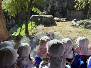 天王寺動物園へ遠足に行きました！（５歳児さん）