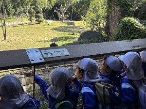 天王寺動物園へ遠足に行きました！（５歳児さん）