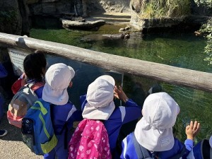 天王寺動物園へ遠足に行きました！（５歳児さん）