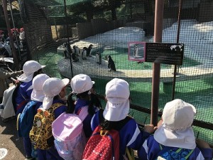 天王寺動物園へ遠足に行きました！